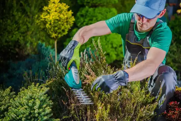 landscaping services Clarkton